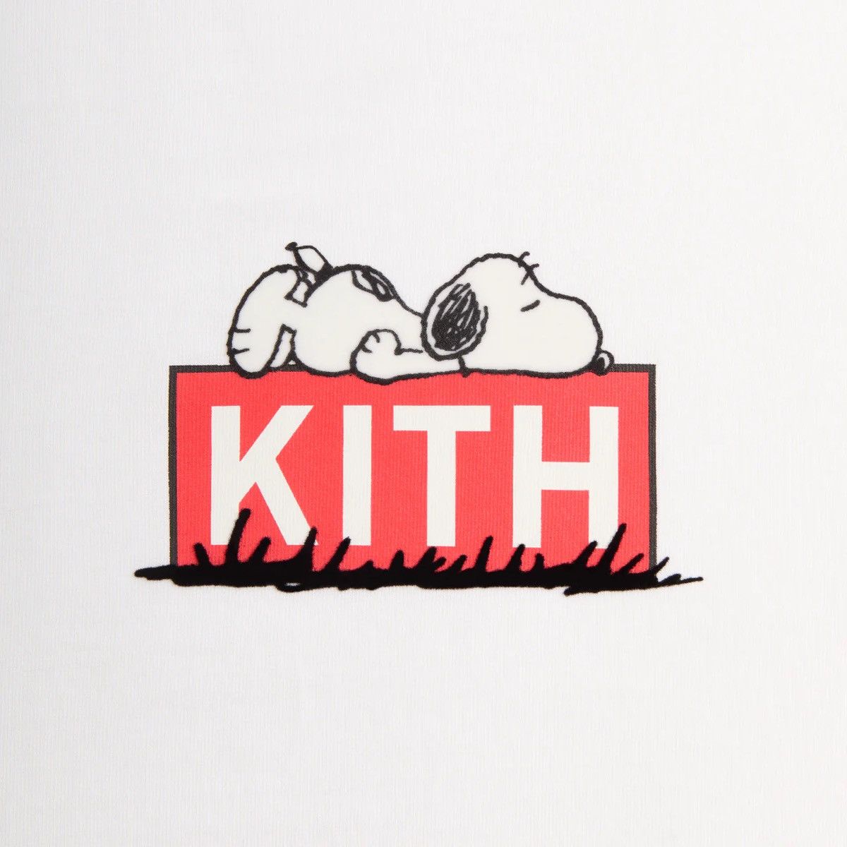 Kith Kith for Peanuts Doghouse Classic Logo Tee Size US L / EU 52-54 / 3 - 2 Thumbnail