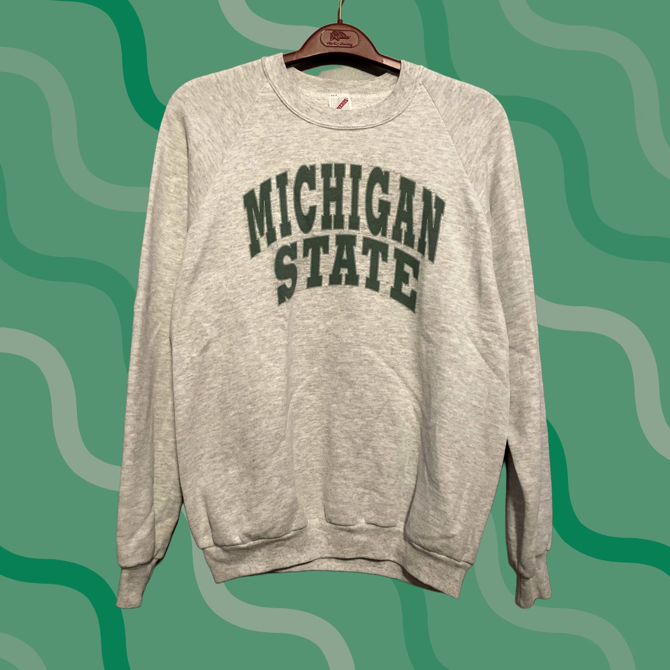 Fruit Of The Loom VINTAGE Fruit of the Loom Michigan State Sweatshirt Mens XL Gray USA Made (E97) Size US XL / EU 56 / 4 - 1 Thumbnail