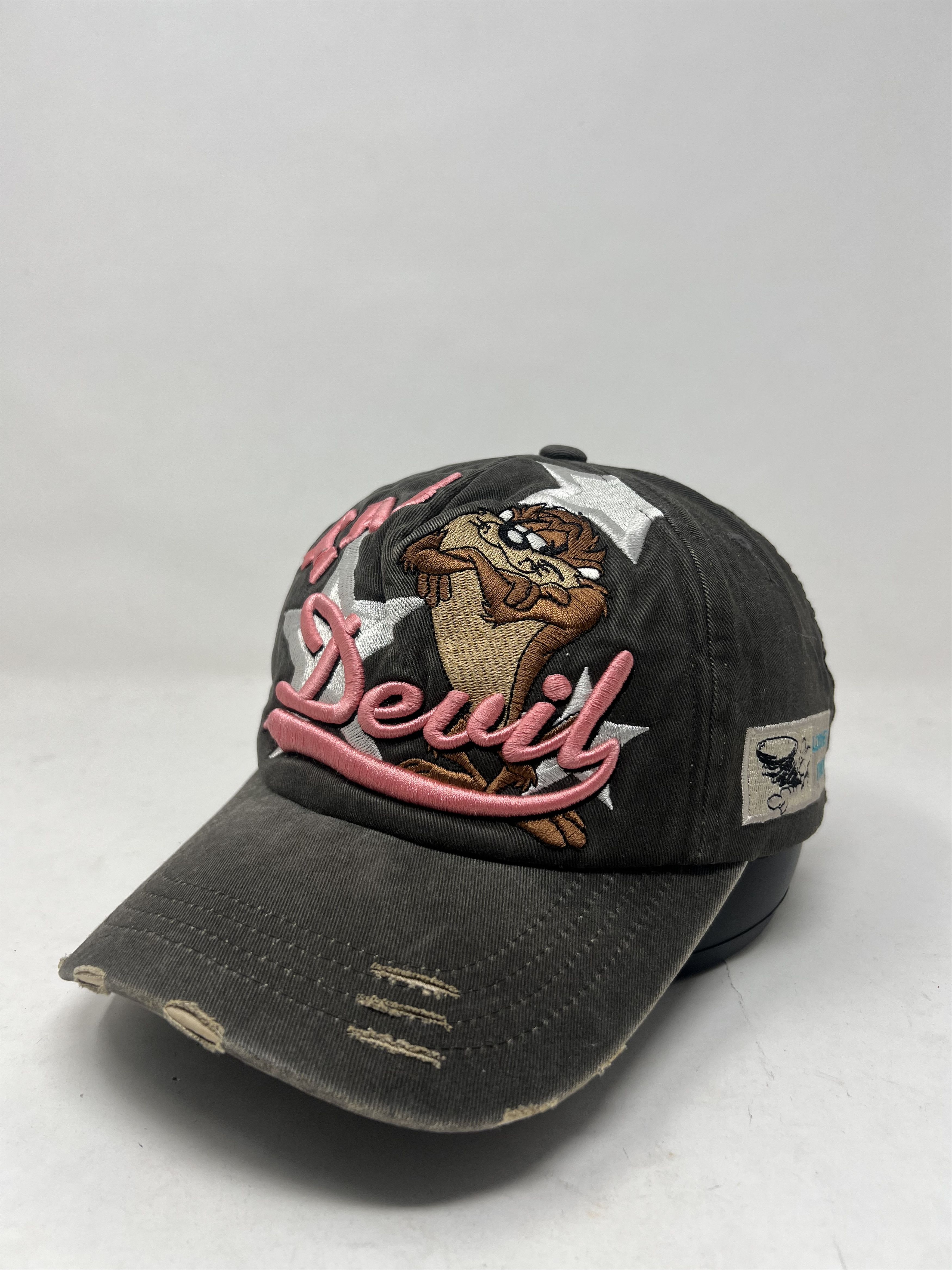 Taz-Mania Devil Looney Tunes Hat