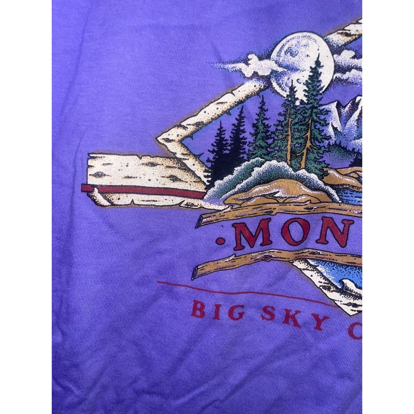 Jerzees Vintage Montana Shirt Big Sky Country Purple Tee VTG 90s L Size US L / EU 52-54 / 3 - 2 Thumbnail