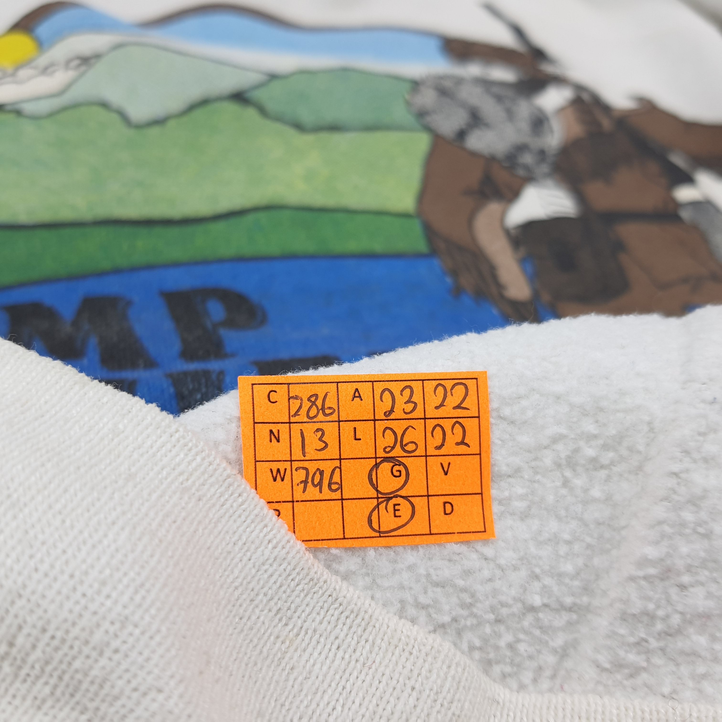 Hanes Vintage 90s Hanes Camp Daniel Boone Sweatshirt C286N13 Size US L / EU 52-54 / 3 - 7 Thumbnail
