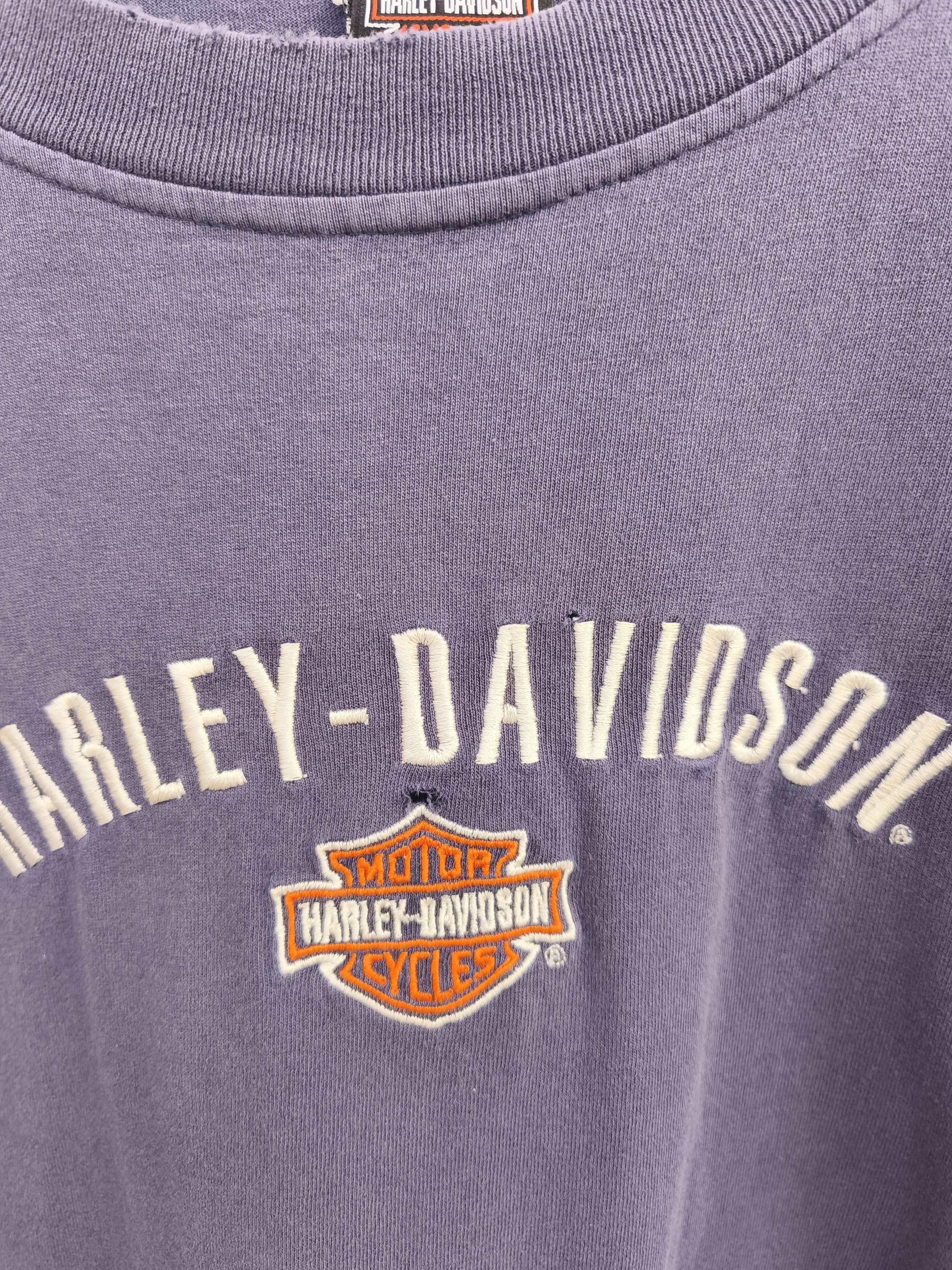 Harley Davidson 🔥Trashed 🔥 Vintage Harley Davidson t shirt sun faded Size US L / EU 52-54 / 3 - 5 Thumbnail