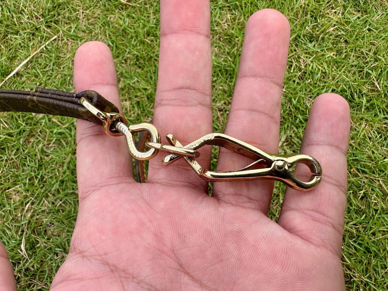 Louis Vuitton Authentic Louis Vuitton Monogram Canvas Pet Leash Size ONE SIZE - 6 Thumbnail