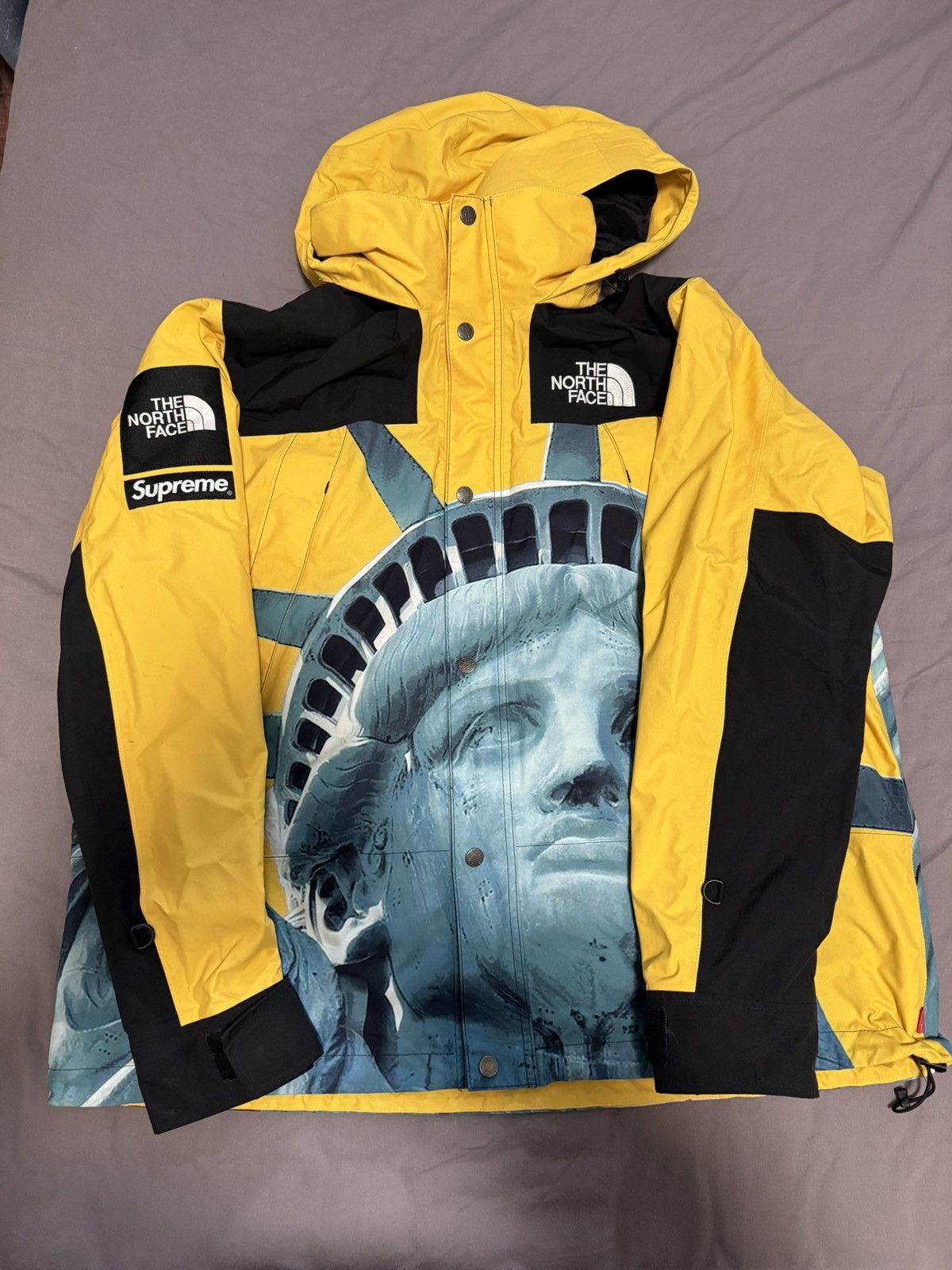 Supreme × The North Face Supreme tnf north face statue of liberty mountain jacket Size US XL / EU 56 / 4 - 1 Thumbnail