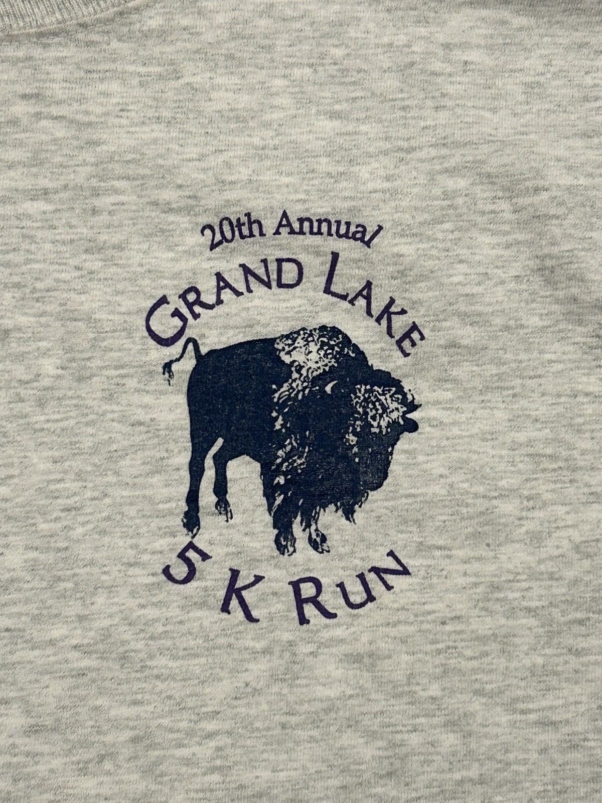 Fruit Of The Loom Vintage 1999 Grand Lake Buffalo 5K Run T-Shirt Size US M / EU 48-50 / 2 - 4 Thumbnail