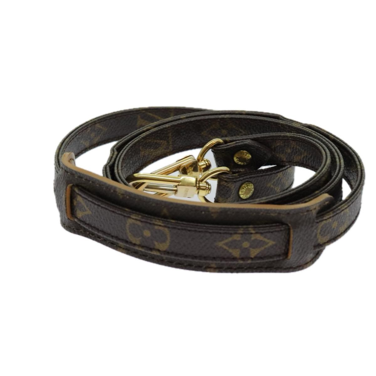 Louis Vuitton Louis Vuitton Shoulder strap bag Size ONE SIZE - 1 Thumbnail