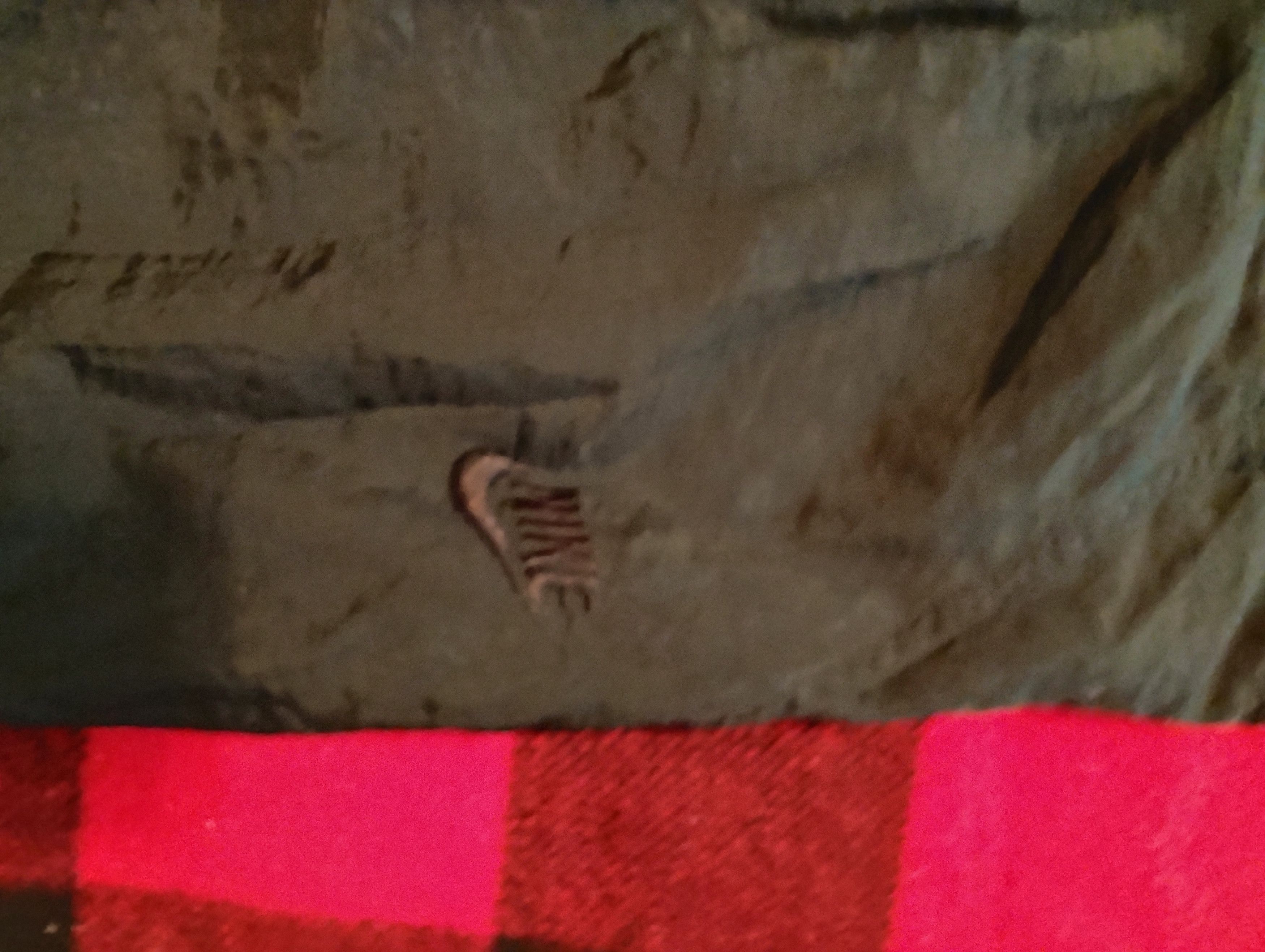 Nike Nike Parachute track style Pants Size US 36 / EU 52 - 4 Thumbnail