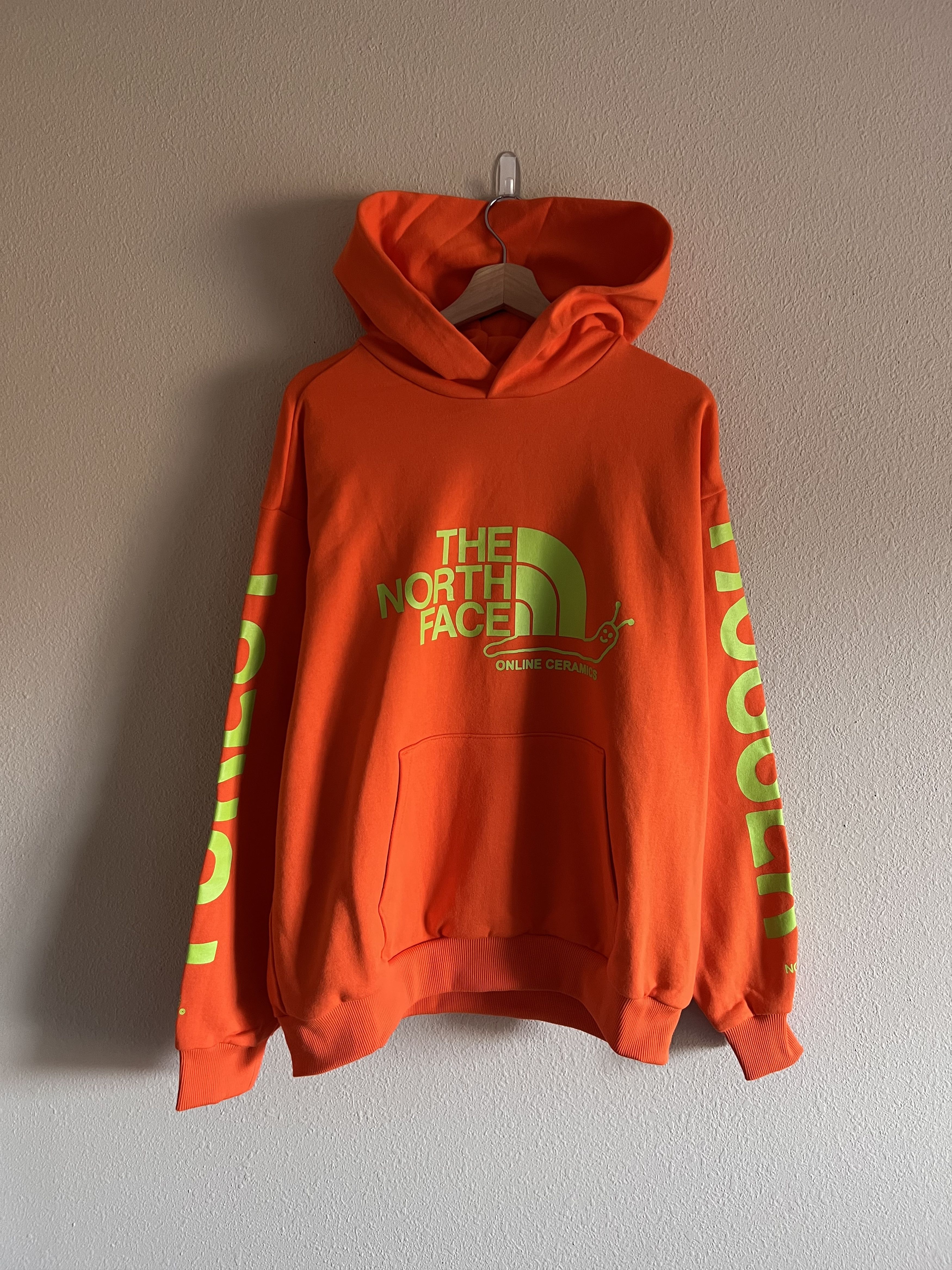 North Face Online Ceramics Hoodie | Grailed