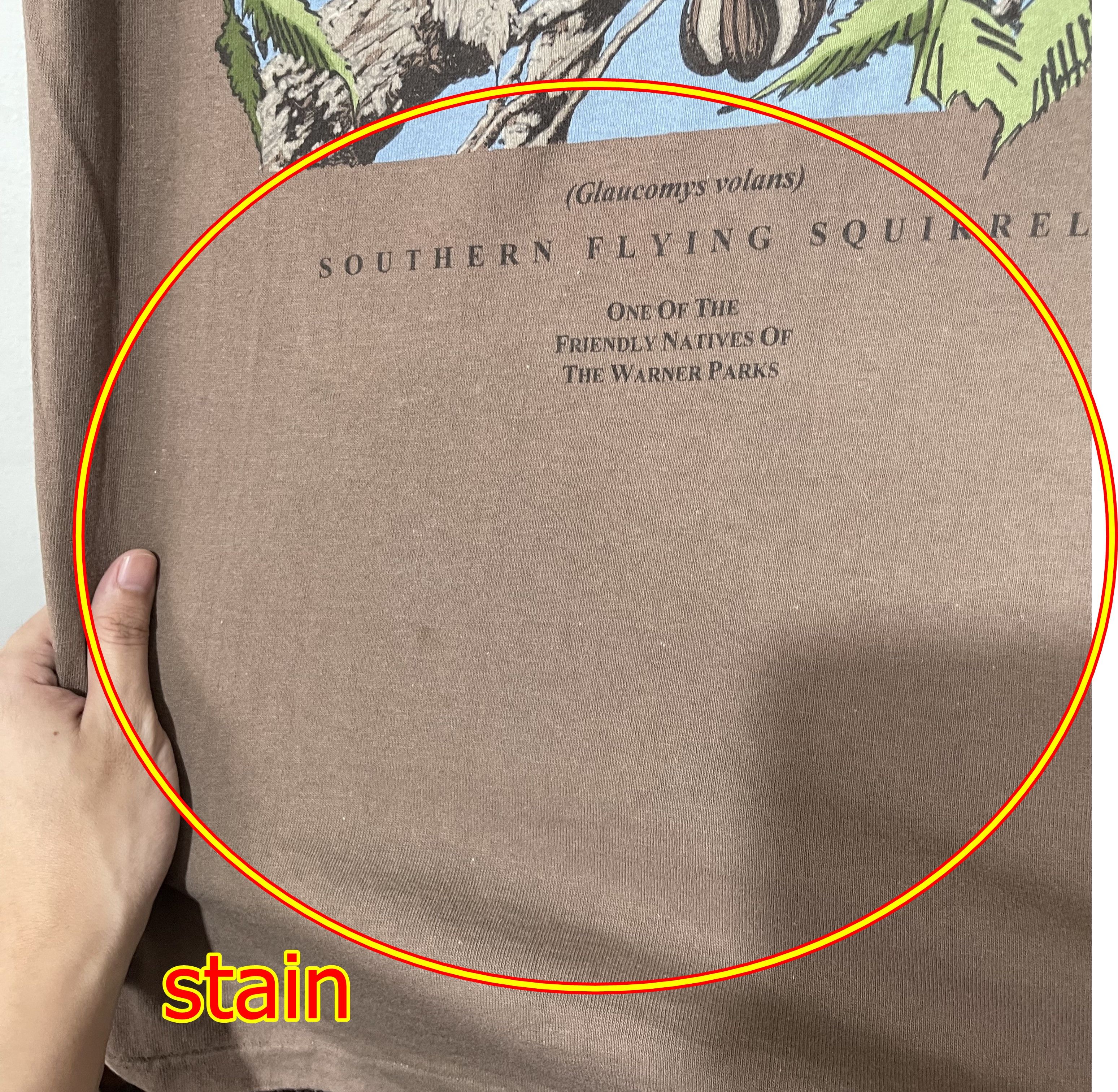 Vintage Vintage 90s Southern Flying Squirrel T-Shirt Size US M / EU 48-50 / 2 - 8 Thumbnail