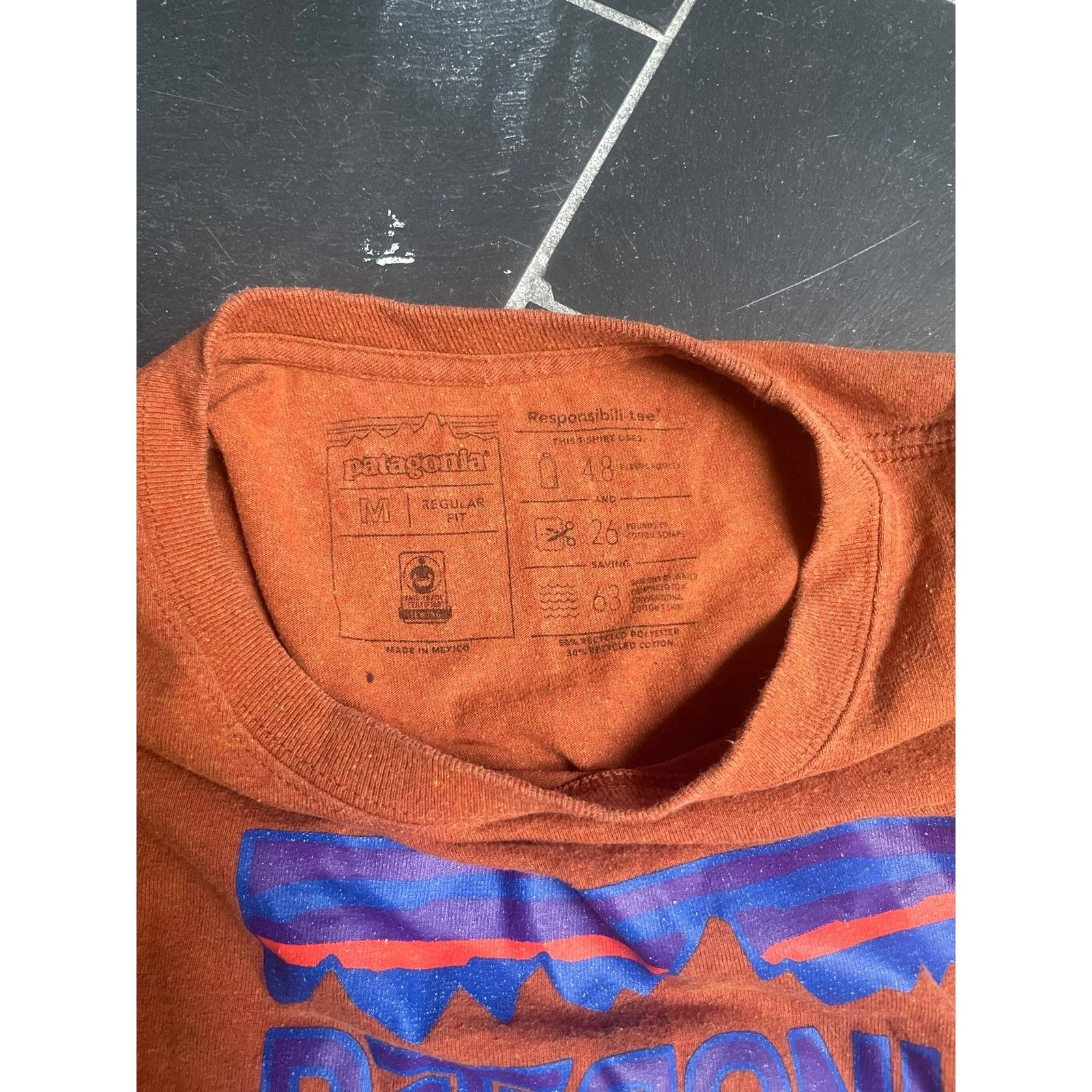 Patagonia Patagonia Clay Orange Logo Tshirt 2010 Size Medium Size US M / EU 48-50 / 2 - 3 Thumbnail