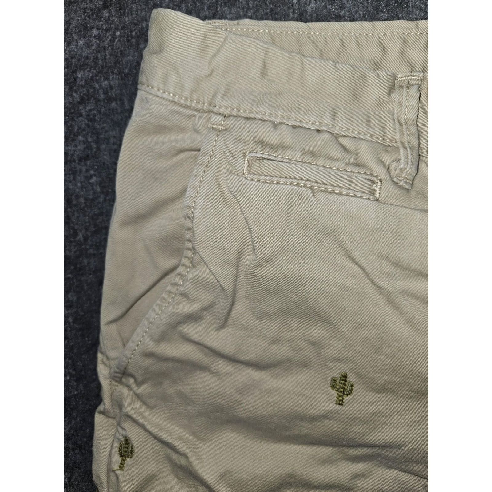 Gap Gap Mens Chino Shorts 32 Beige Cactus Embroidered Cotton Casual Slim? Regular Fit - 9in Inseam - Zip Fly - Pockets - Summer Mens Size US 32 / EU 48 - 7 Thumbnail
