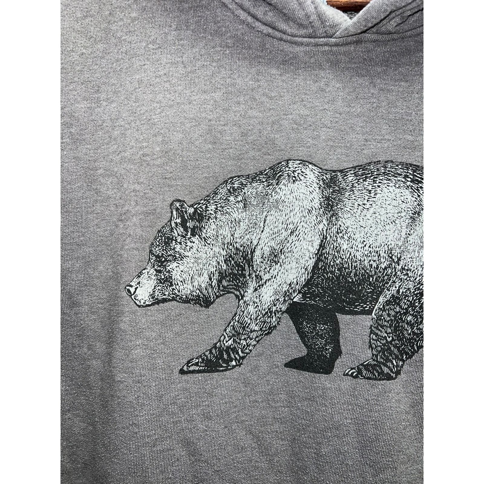 Vintage The North Face Bear Hoodie Grizzly Gray TNF Mens Small Size US S / EU 44-46 / 1 - 3 Thumbnail