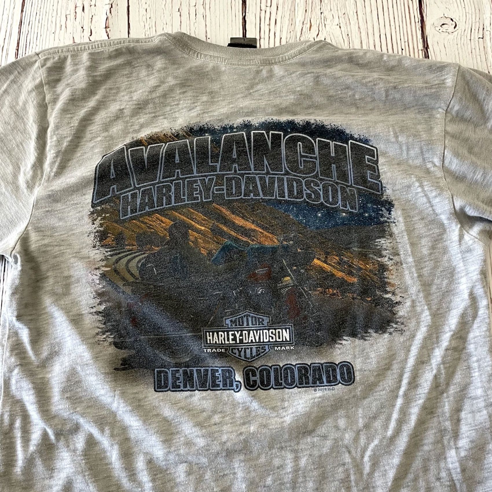 Harley Davidson Harley-Davidson Avalanche Denver T-Shirt Mens Large Gray Short Sleeve Shirt Size US L / EU 52-54 / 3 - 5 Thumbnail