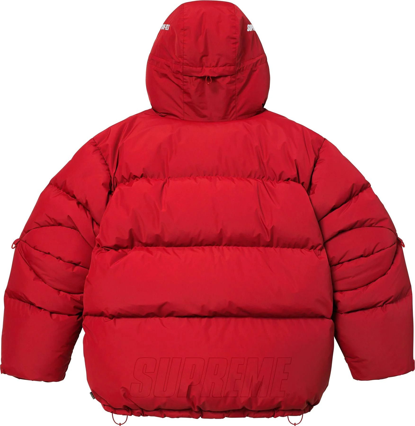 Supreme Supreme GORE-TEX 900-Fill Down Parka Size US M / EU 48-50 / 2 - 3 Thumbnail
