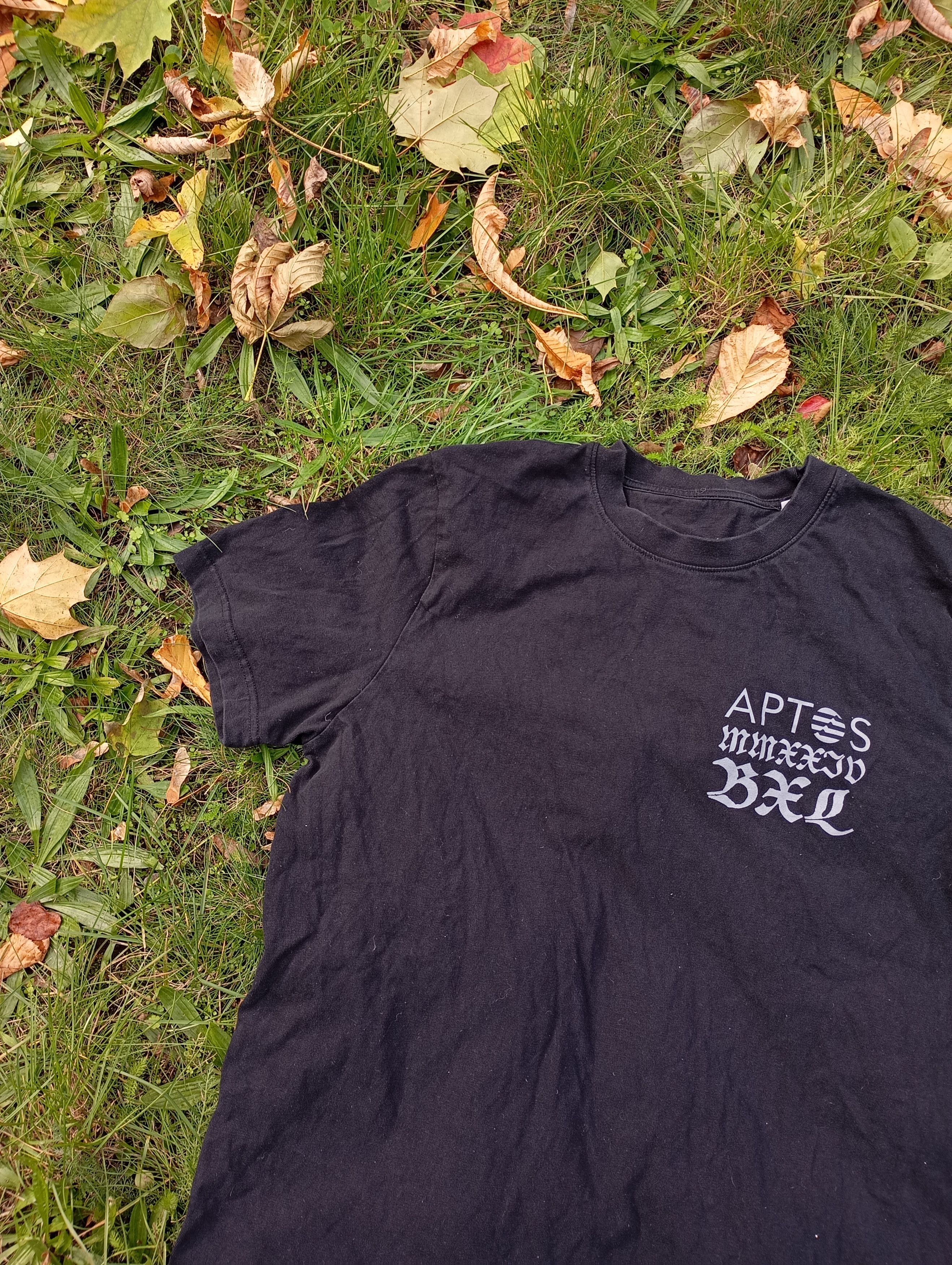Other Y2K Crypto Aptos big logo T shirt Size US L / EU 52-54 / 3 - 2 Thumbnail