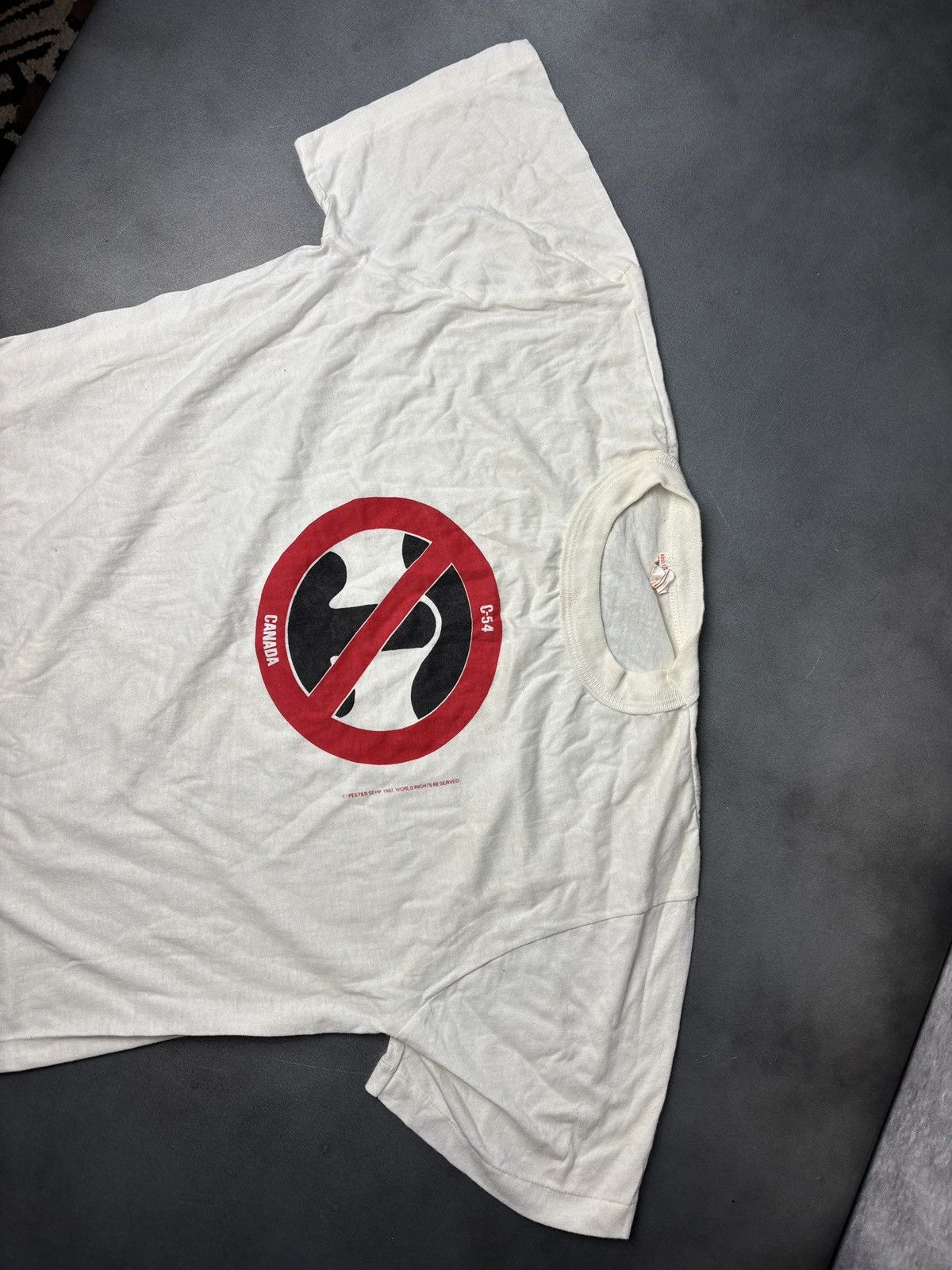 Vintage Vintage Political Protest Tee Kinda Sus Butt Sex Gay? Or No? Size US L / EU 52-54 / 3 - 7 Thumbnail