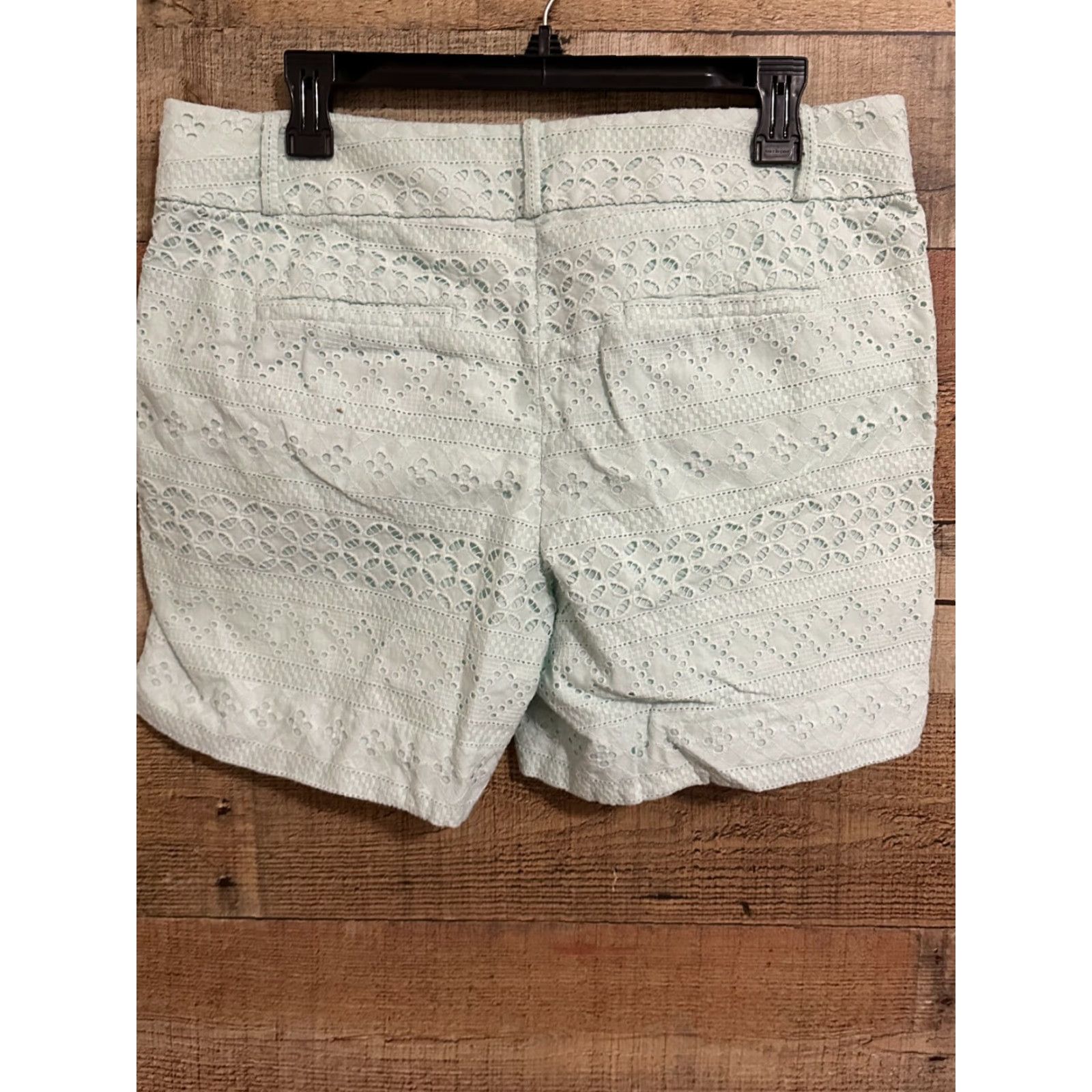 Ann Taylor Ann Taylor LOFT Casual Chino Shorts Green Size 10 Womens Regular Summer Cotton Twill Pockets Front Flat Front Button Zipper Casual Wear Size 32" / US 10 / IT 46 - 2 Thumbnail
