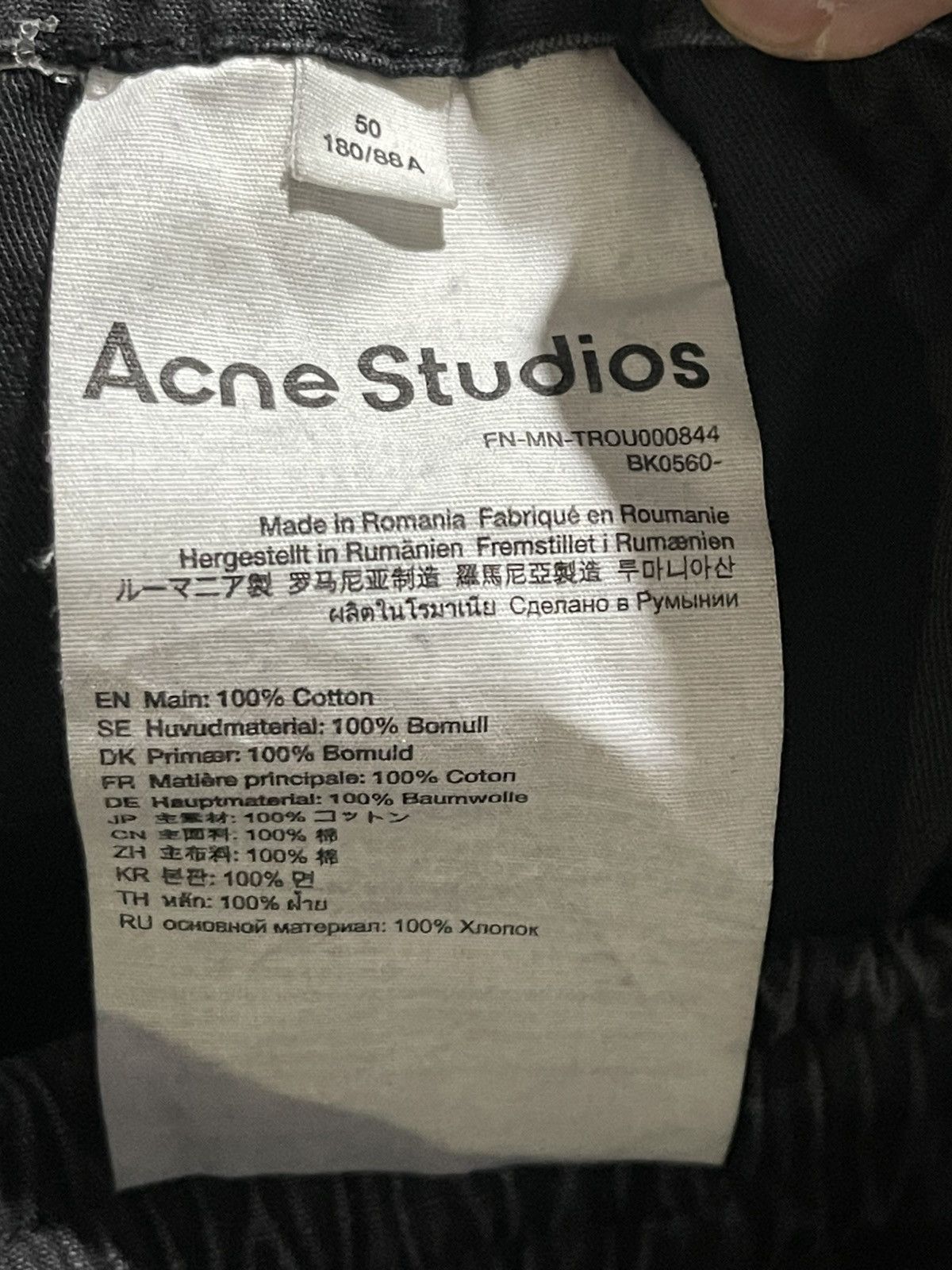 Acne Studios Ripstop Cargo Pants. Size US 36 / EU 52 - 7 Thumbnail