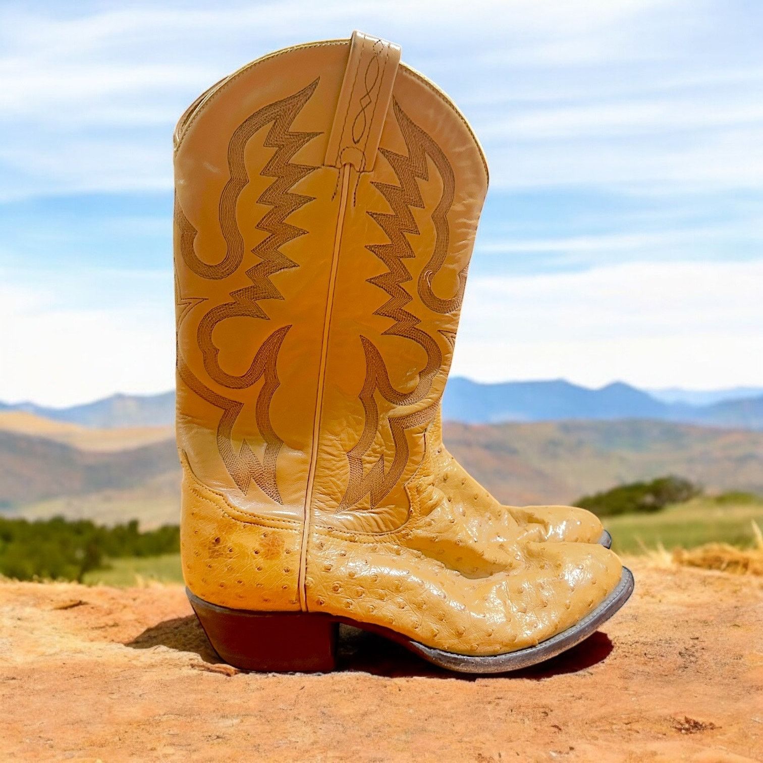 Vintage Tony Lama Full Quill Ostrich Cowboy Boots Men's 9D