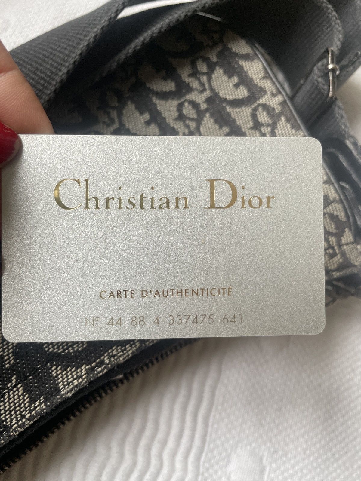 Dior CHRISTIAN DIOR Saddle monogram bag Size ONE SIZE - 13 Thumbnail
