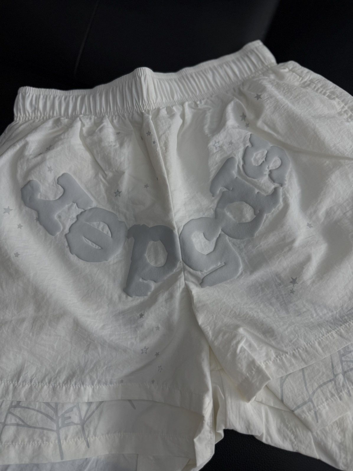 Sp5der Sp5der Web Shorts White Size (XS) Brand New Size US 28 / EU 44 - 2 Thumbnail