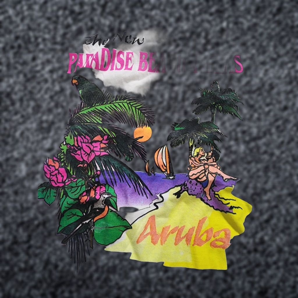 Paradise VINTAGE Beach Club Graphic T Shirt Adult Large White 90s Naughty Aruba Paradise Beach Villas Mens Size US L / EU 52-54 / 3 - 1 Thumbnail