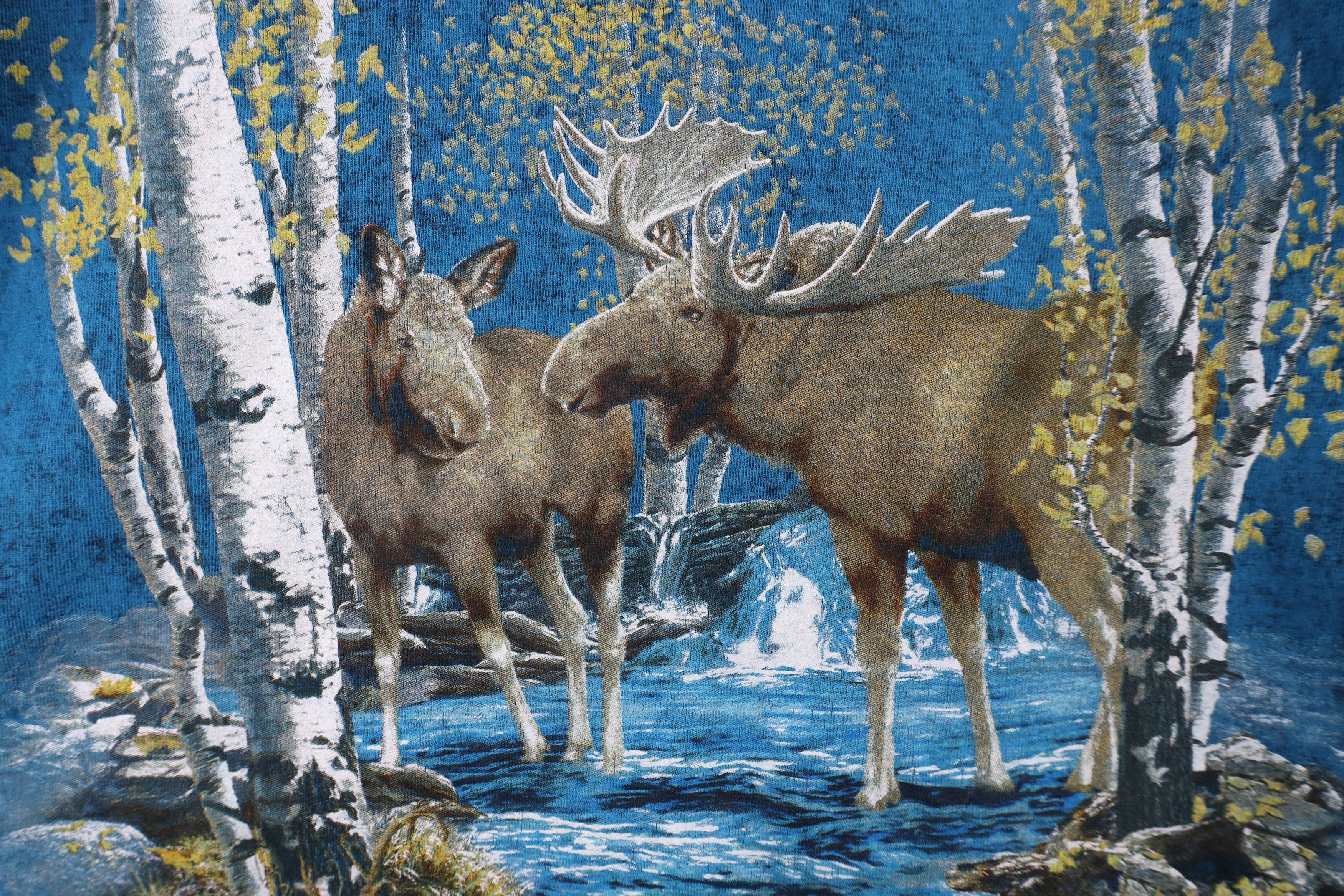 Vintage Vintage 90s Streetwear Alaska Moose Nature Acid Wash T-Shirt Size US XL / EU 56 / 4 - 5 Thumbnail