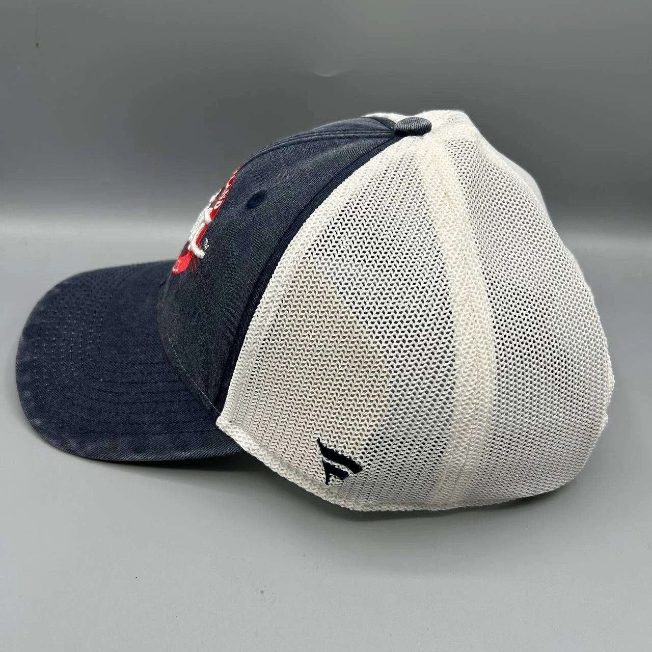 Other New England Patriots Trucker Hat NFL Fanatics Strap Back Size ONE SIZE - 5 Thumbnail