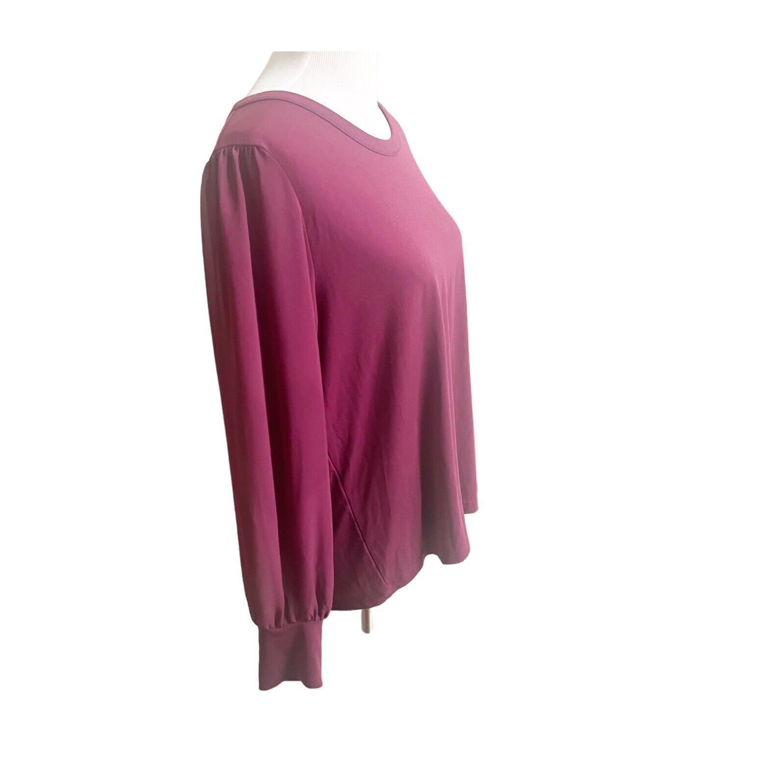 Banana Republic Banana Republic Sheer Sleeve Maroon Blouse XL Holiday Office Size XL / US 12-14 / IT 48-50 - 2 Thumbnail