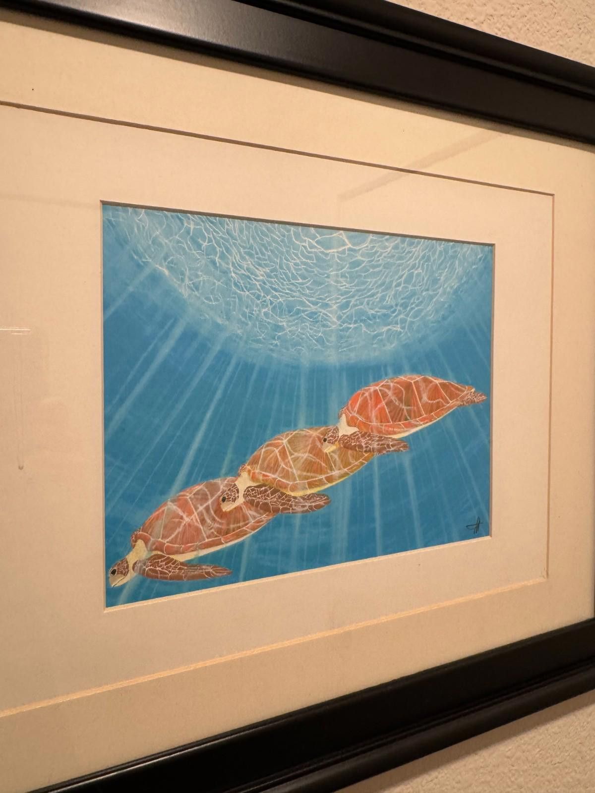 Other Scott Wright La Jolla Framed Sea Turtles Underwater Art Prin Size ONE SIZE - 8 Thumbnail