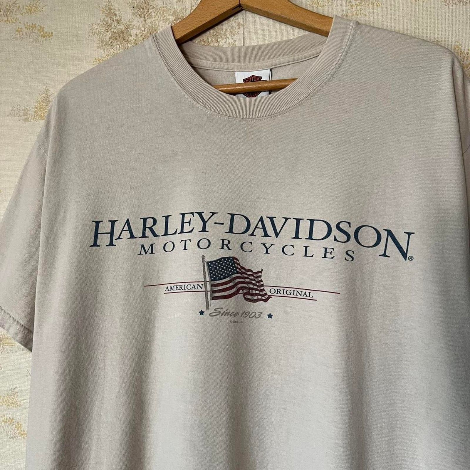 Harley Davidson 00s Distressed Harley Davidson T-Shirt | Rice Lake Wisconsin Size US L / EU 52-54 / 3 - 1 Thumbnail