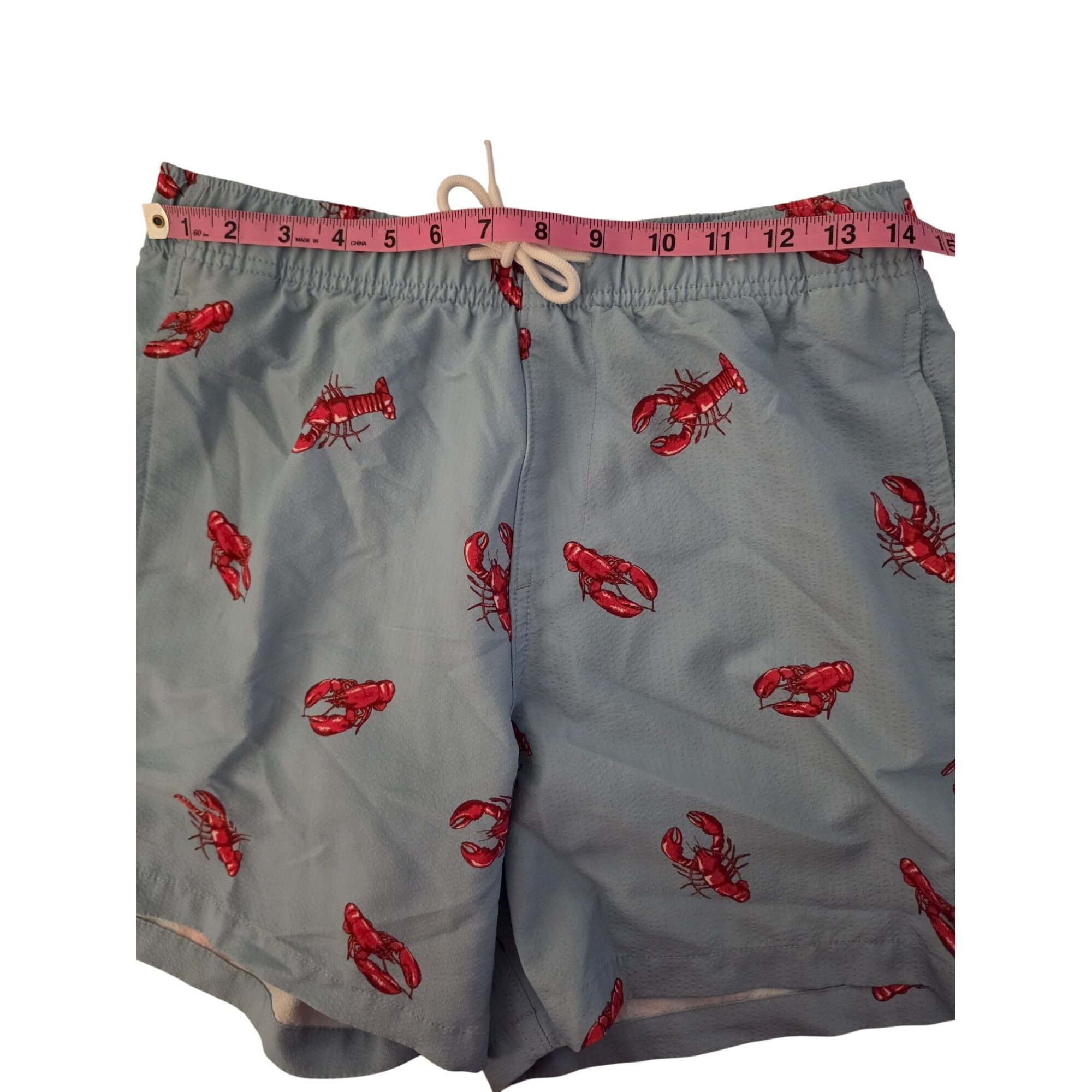 Hollister Hollister Lobster Swim Trunks Mens Small Blue Red Print Line Size US 28 / EU 44 - 6 Thumbnail