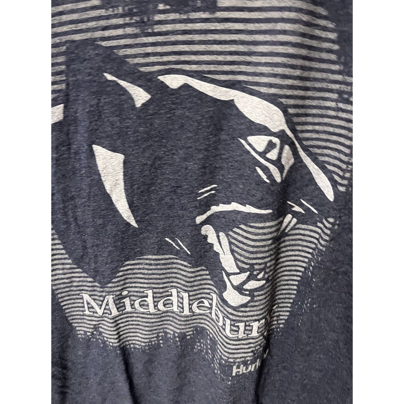 Hurley Hurley Men's Crew Neck T-Shirt Logo Tee Medium Blue Casual Surfing 2010s Size US M / EU 48-50 / 2 - 4 Thumbnail