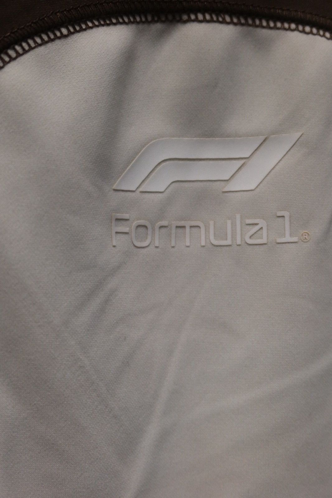 Pacsun F1 x Pacsun Short Sleeve Tee Size US L / EU 52-54 / 3 - 5 Thumbnail