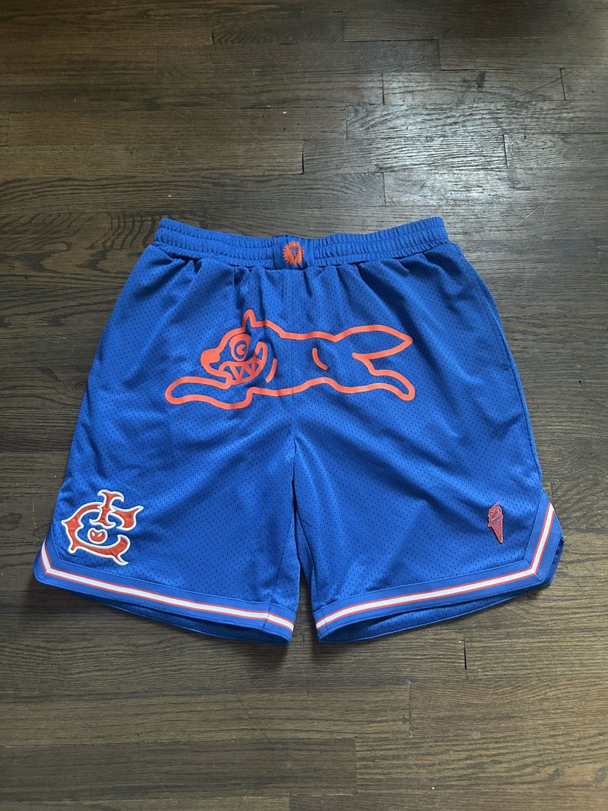 Team IC Running Dog Basketball Short