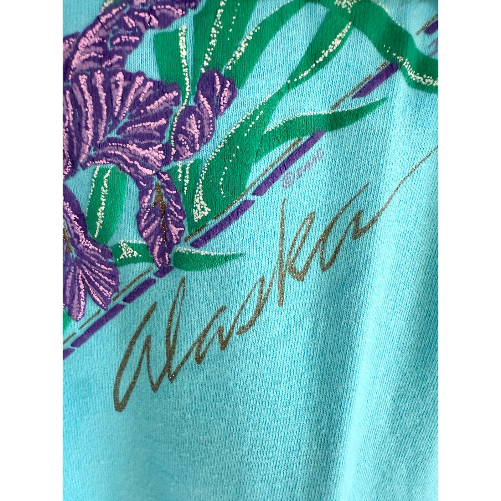 Fruit Of The Loom 80s Alaska Iris Single Stitch Tee XL Size US XL / EU 56 / 4 - 13 Thumbnail