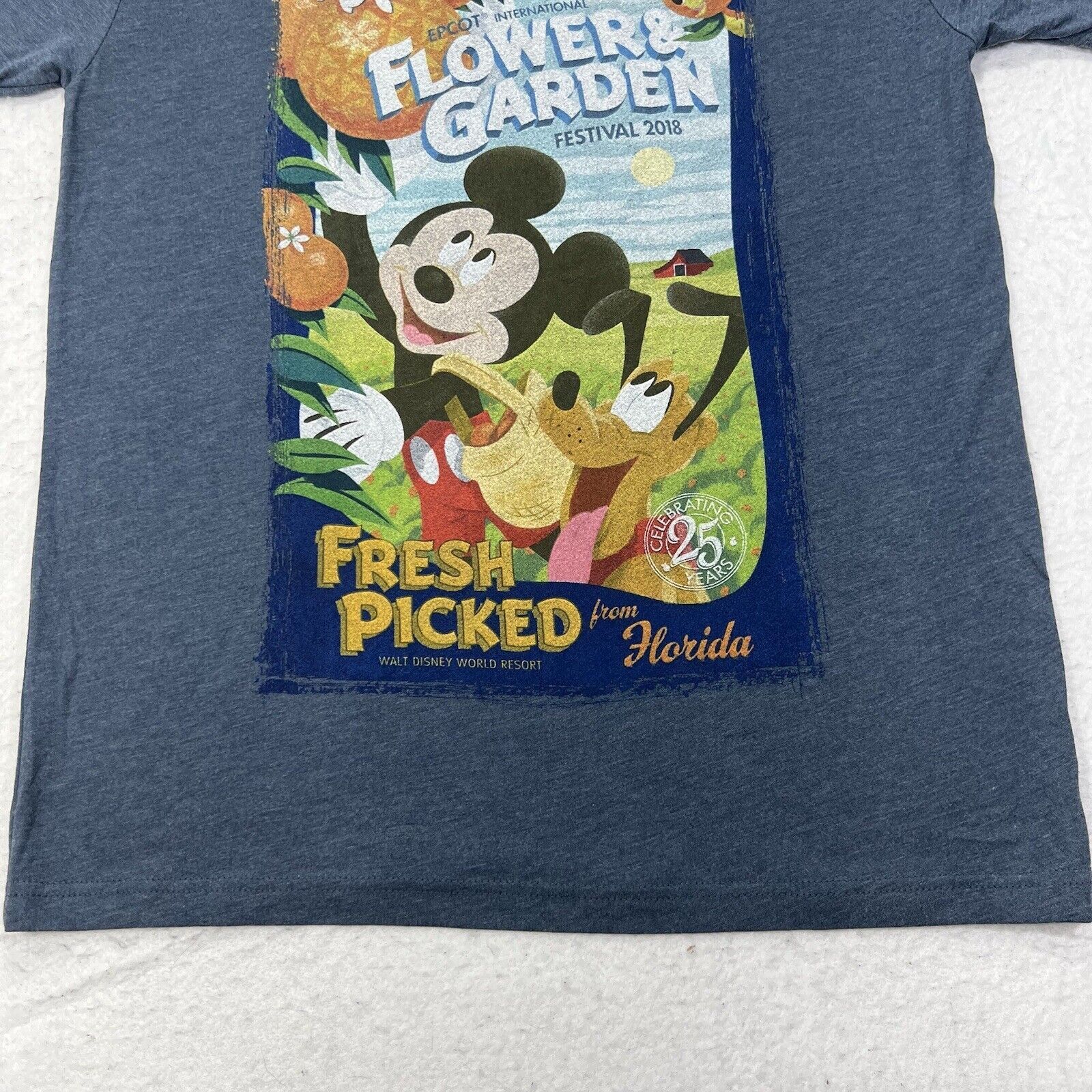 Disney Disney Parks Epcot 25th Flower Garden Festival Graphic Tee Size US L / EU 52-54 / 3 - 7 Thumbnail