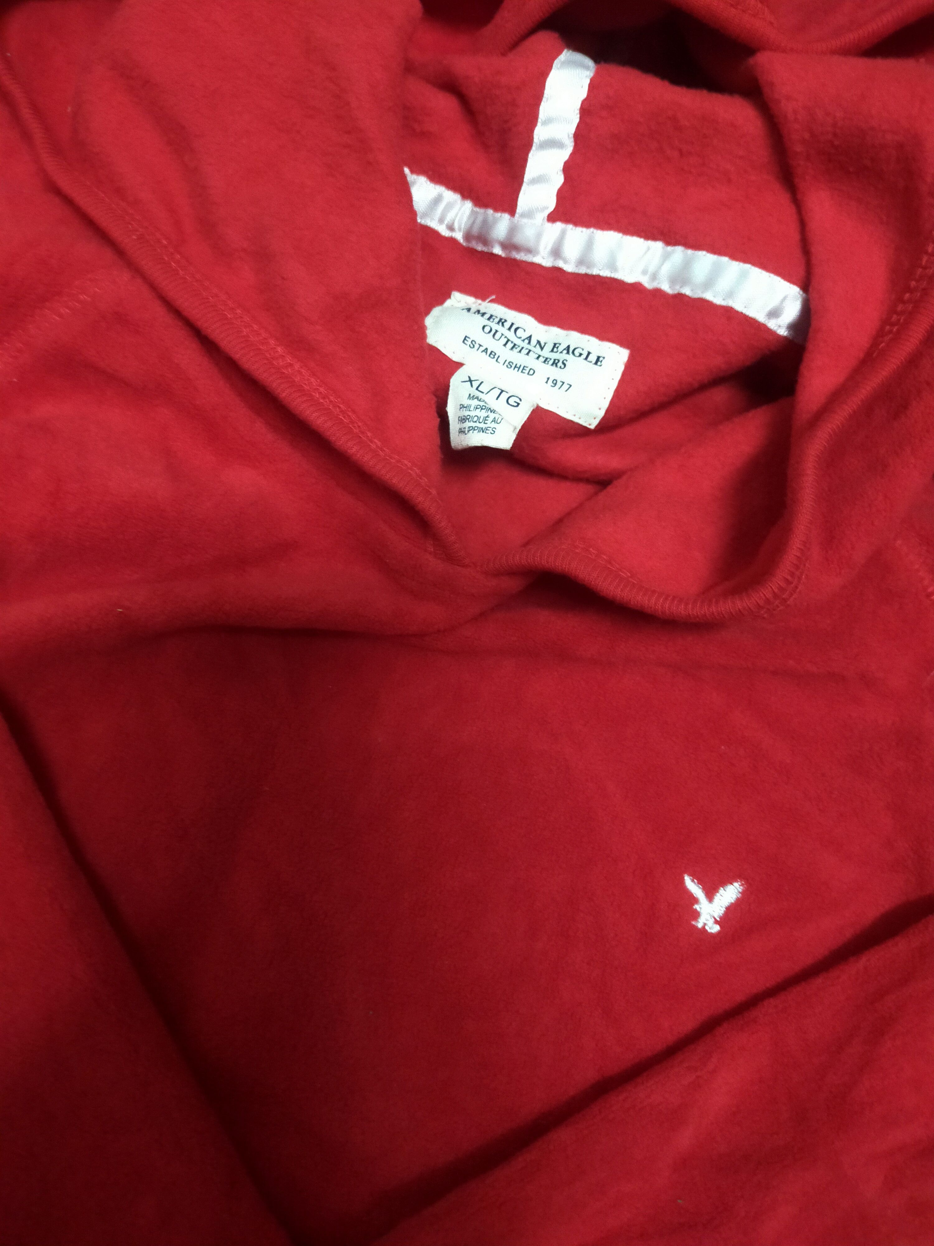 American Eagle Outfitters American eagle hoodie Size US M / EU 48-50 / 2 - 2 Thumbnail