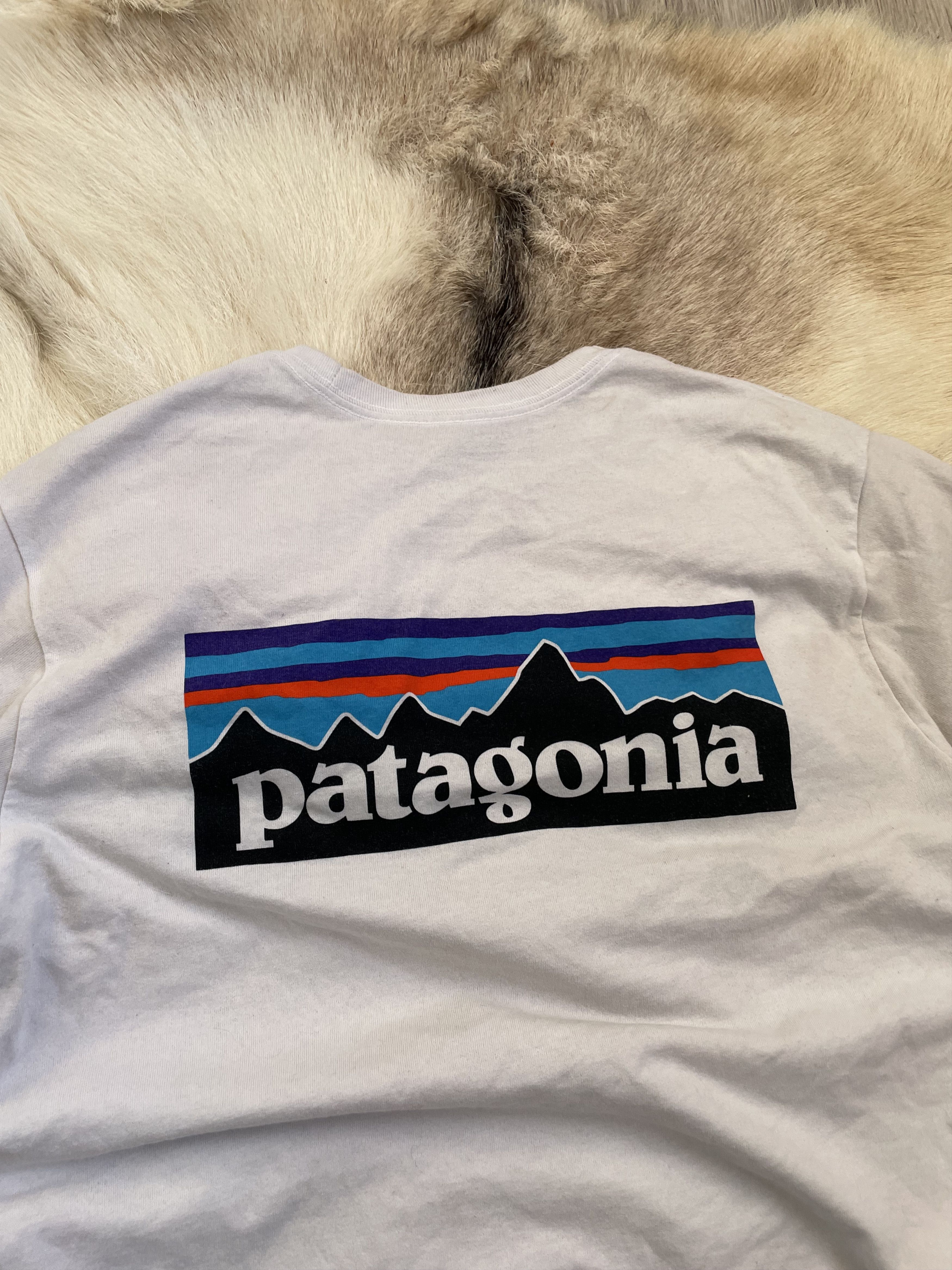 Patagonia Patagonia Big logo T-shirt Size US M / EU 48-50 / 2 - 2 Thumbnail