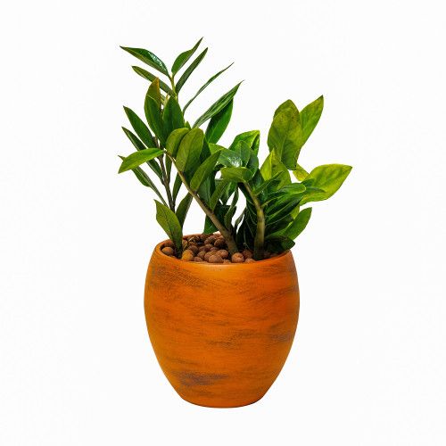 Designer × Homemade Smart Self-watering Round Planter Pot for Indoor and Outdoor Size US L / EU 52-54 / 3 - 2 Thumbnail