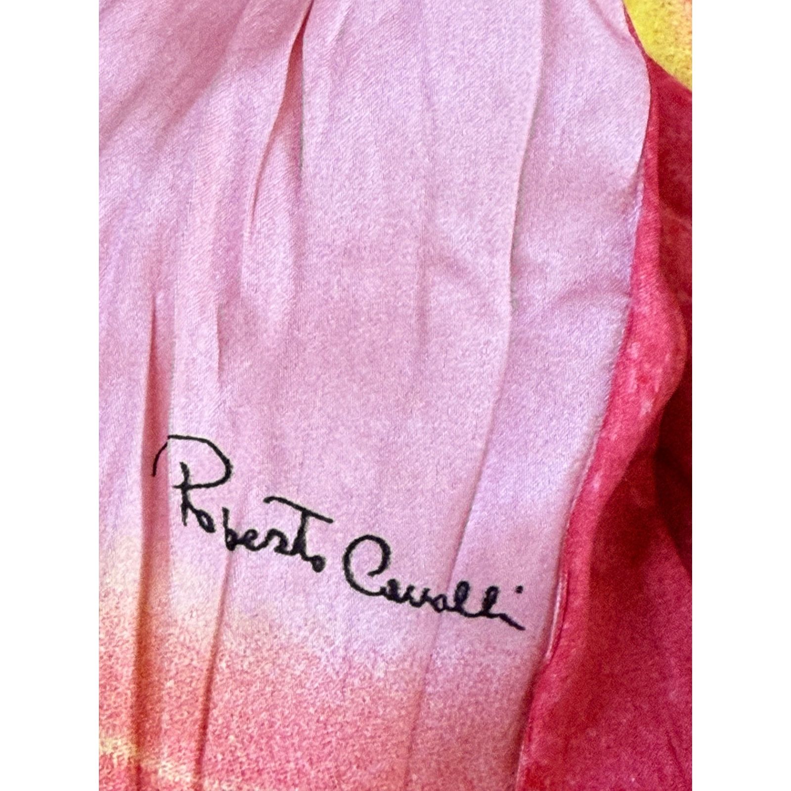 Roberto Cavalli Vintage Roberto Cavalli 2004 crinkle silk blouse size S Size S / US 4 / IT 40 - 8 Thumbnail