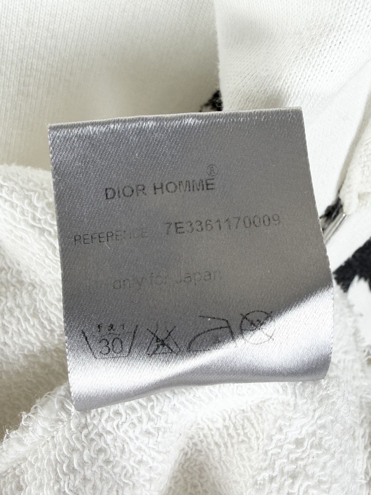 Dior × Hedi Slimane SS07 Dior Homme Bruce Lee Palm Tree Hoodie Hedi Slimane Size US M / EU 48-50 / 2 - 9 Thumbnail