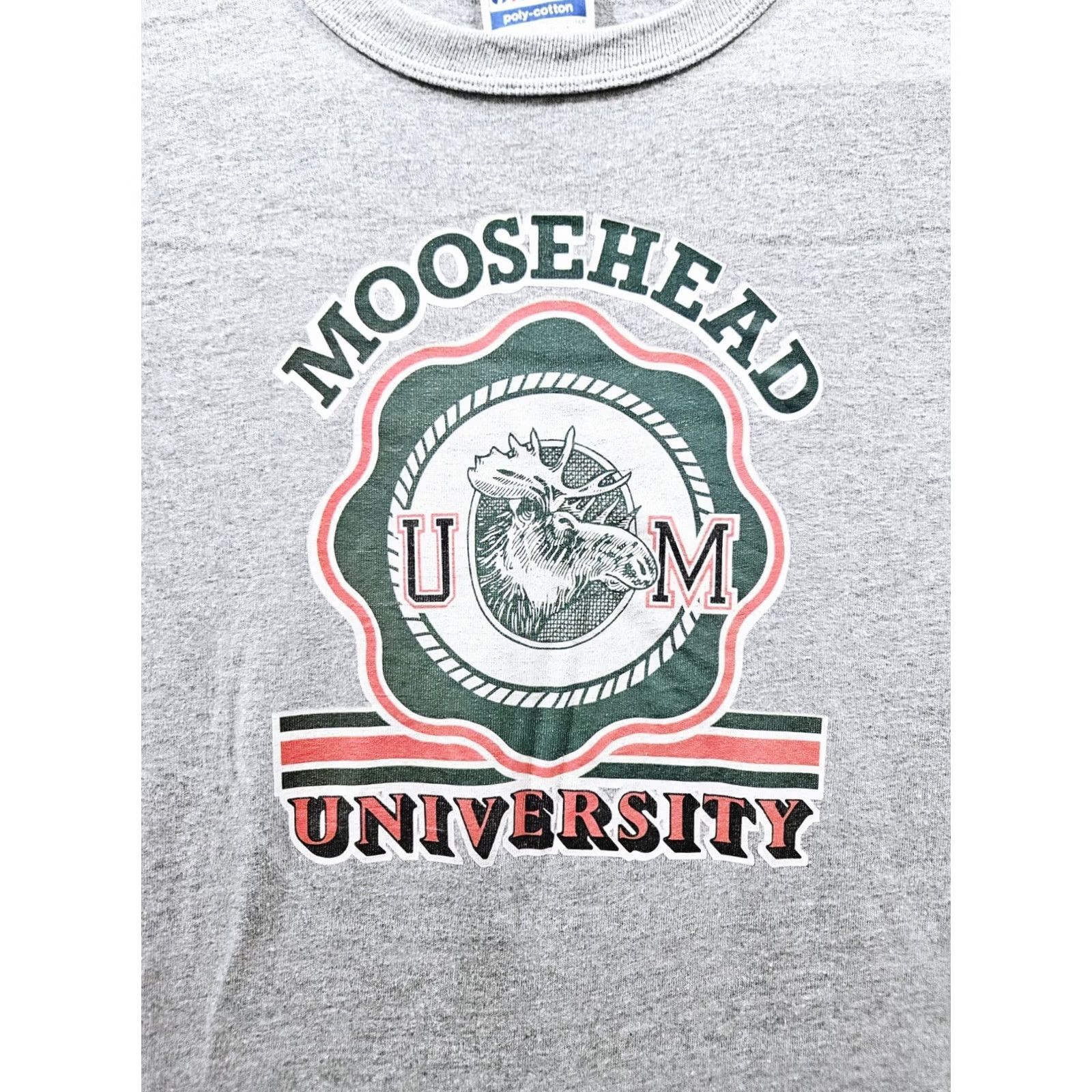 Hanes VINTAGE Moosehead University 80s Graphic T-shirt Single Stitch Large Men Gray 1980s Hanes Cotton Blend Short Sleeve M/L Size US M / EU 48-50 / 2 - 3 Thumbnail