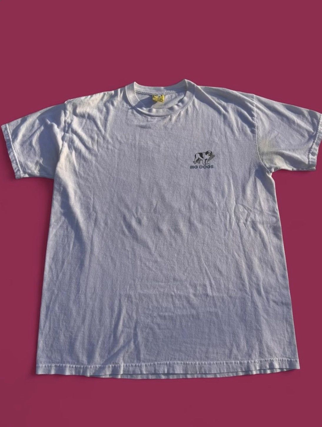 Big Dogs Vintage 1998 ‘The Big Dogs of Rap’ tshirt Size US L / EU 52-54 / 3 - 2 Thumbnail