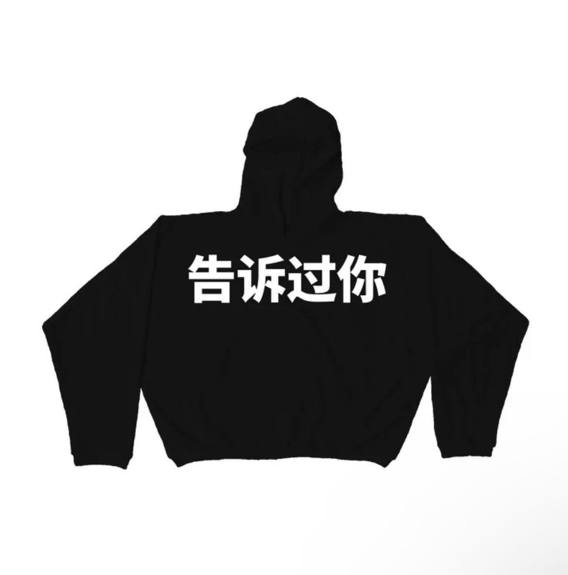 Told you hoodie