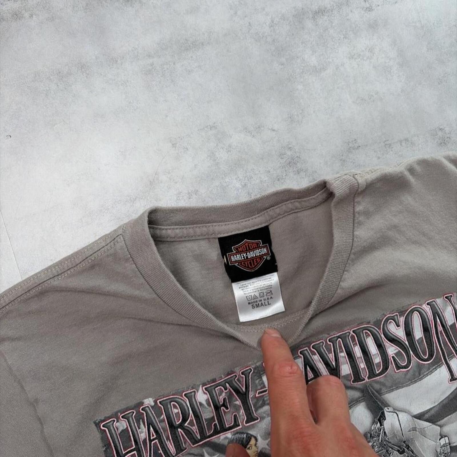 Harley Davidson Y2K Grey Harley Davidson Grunge Rocky Mountain Biker T-Shirt Size US S / EU 44-46 / 1 - 7 Thumbnail