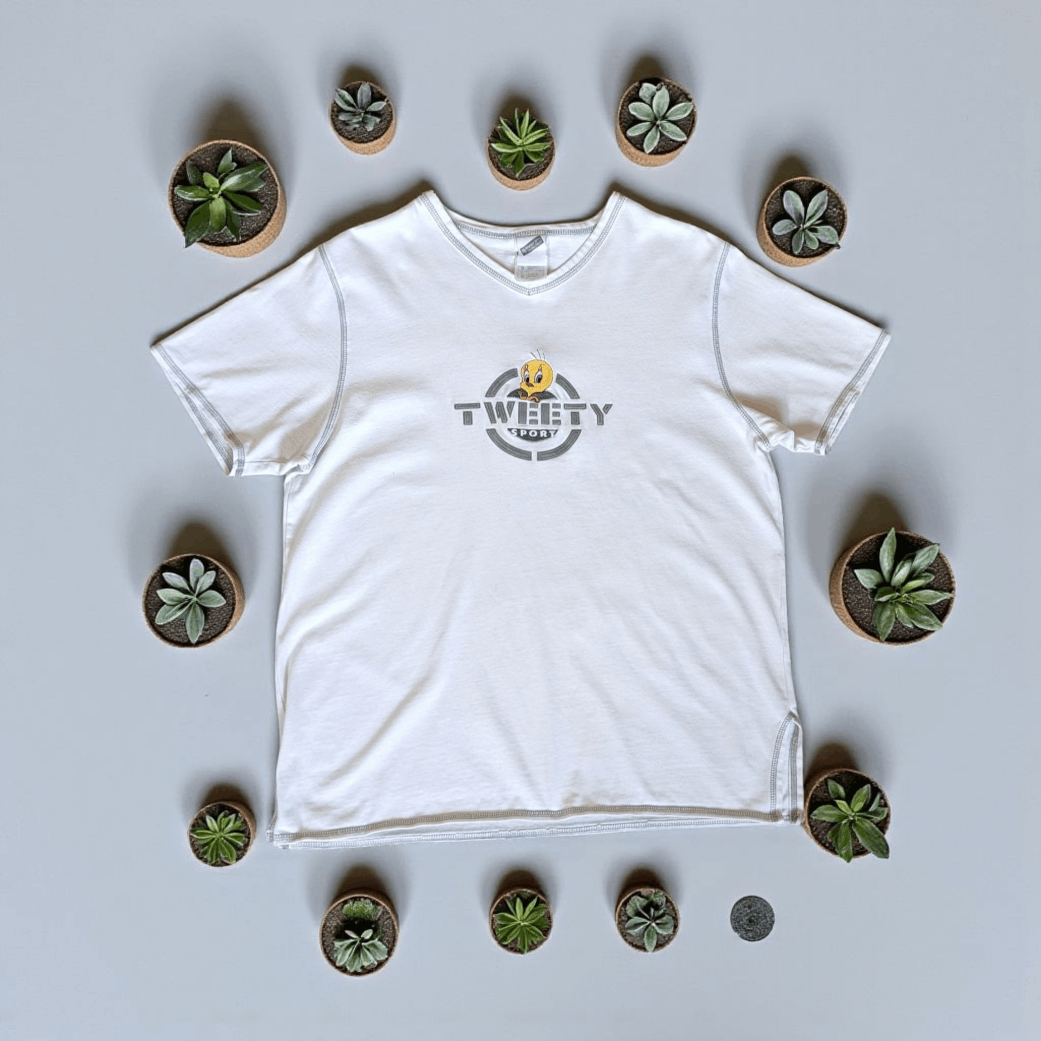 Warner Bros Vintage 2000s Tweety T-Shirt Size S White Size US S / EU 44-46 / 1 - 1 Thumbnail