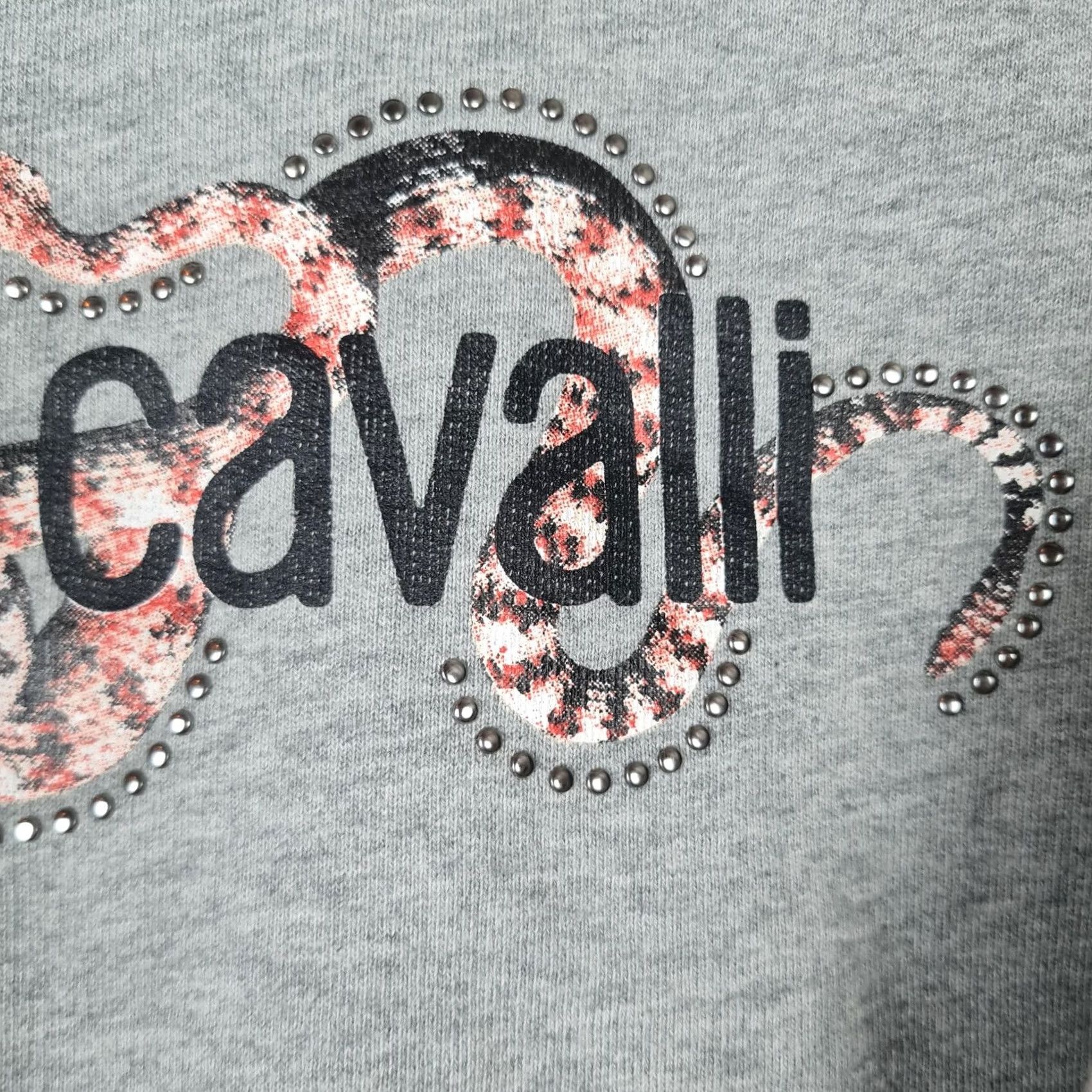 Roberto Cavalli Roberto Cavalli Hoodie Mens Large Gray Snake Graphic Studded Sweatshirt Designer Size US L / EU 52-54 / 3 - 3 Thumbnail