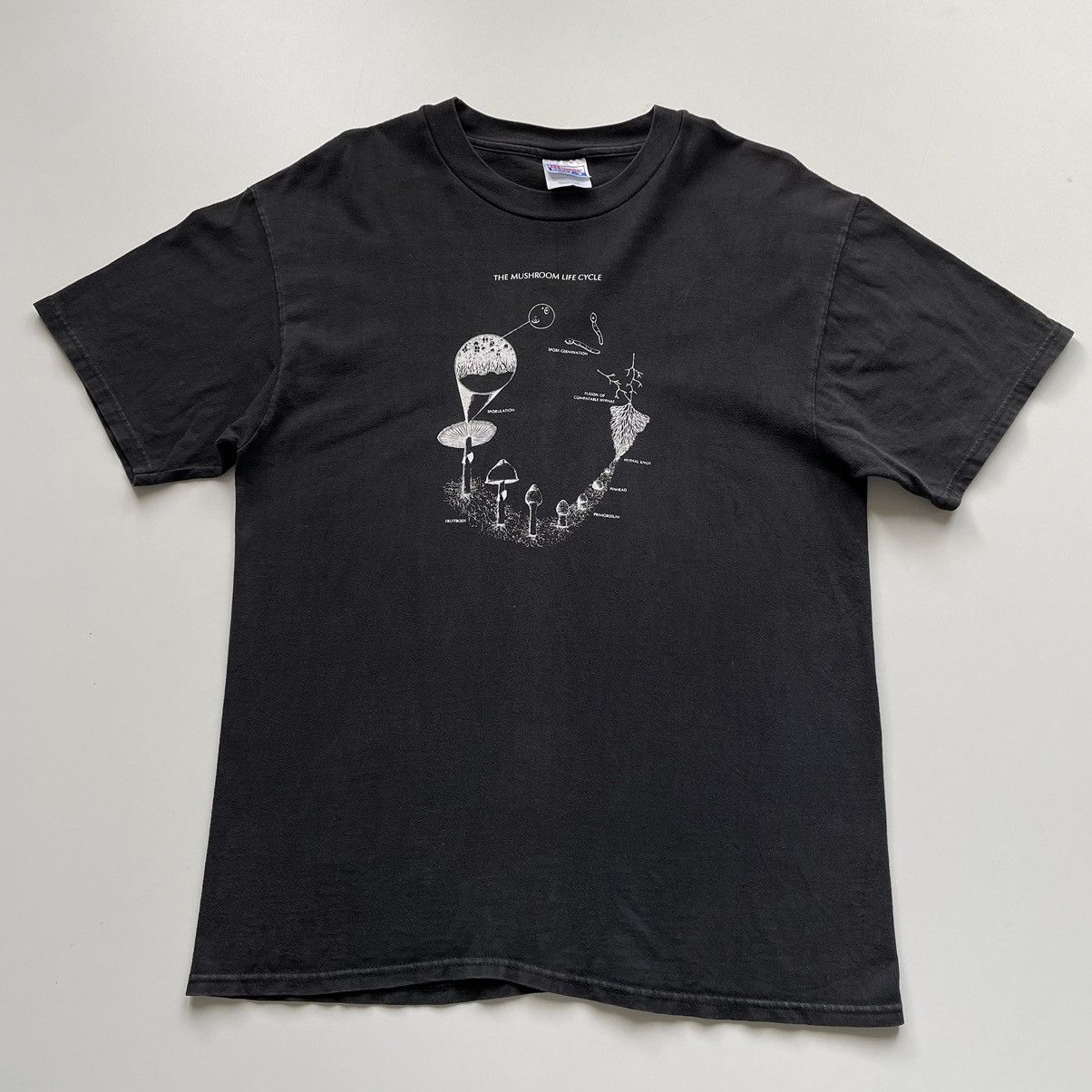 Vintage Vintage 90s The Mushroom Life Cycle Art Graphic T Shirt Rare Size US L / EU 52-54 / 3 - 1 Thumbnail