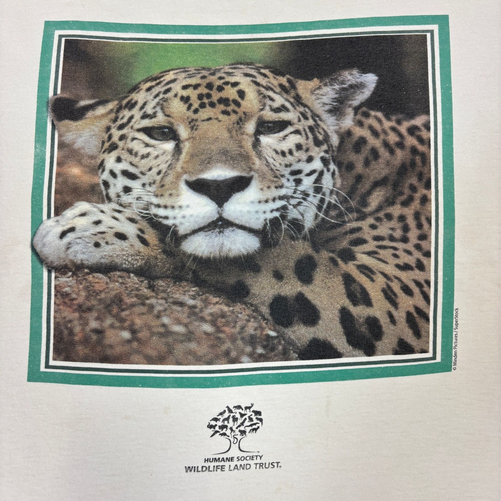 Vintage Vintage Humane Society Cheetah T Shirt Women's Large Animal Size US L / EU 52-54 / 3 - 3 Thumbnail